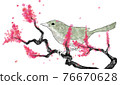 Uguisu ink painting style perched on a plum tree 76670628