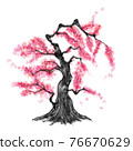 Large tree with peach blossoms, ink painting style 76670629