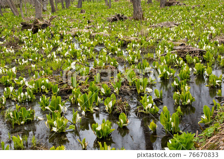 Water Basho集團 76670833