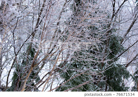 凍雨支線 76671534