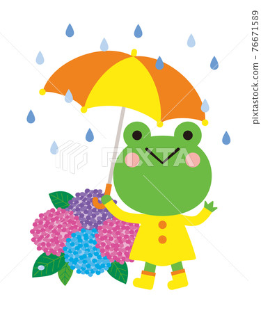 雨季的插圖，青蛙拿著雨傘和繡球花 76671589