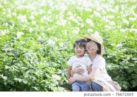 土豆地裡的父母和孩子 76672005
