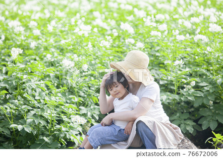 土豆地裡的父母和孩子 76672006