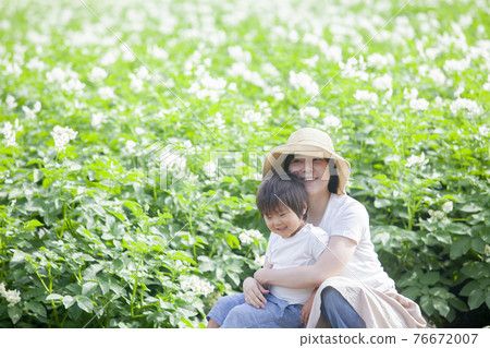 土豆地裡的父母和孩子 76672007