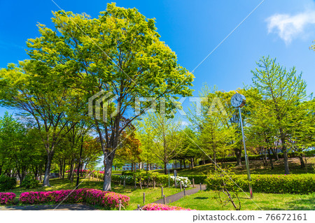 Tsurumaki Nishi Park in Spring, Tama City, Tokyo 76672161