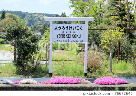 千葉小湊鐵道養老谷站 千葉小湊鐵道養老谷站 76672645
