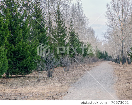 The path in the spring urban park. Cloudy day. Landscape. 76673061