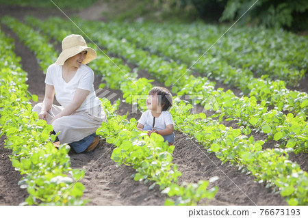 Farmer's mom and child working in the field 76673193
