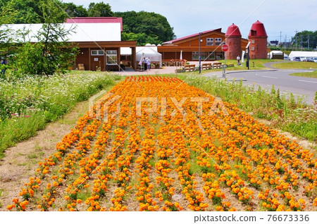 北海道北廣島市 Kururu no Mori 北海道北廣島市 Kururu no Mori 76673336