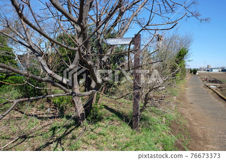 Information board for Astronaut Yamagata, Narashino City, Chiba Prefecture Information board for Astronaut Yamagata, Narashino City, Chiba Prefecture 76673373