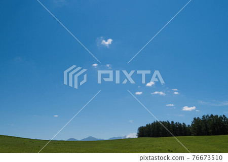 盛夏的美瑛山 76673510
