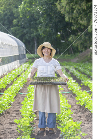 Working farmer woman 76673574