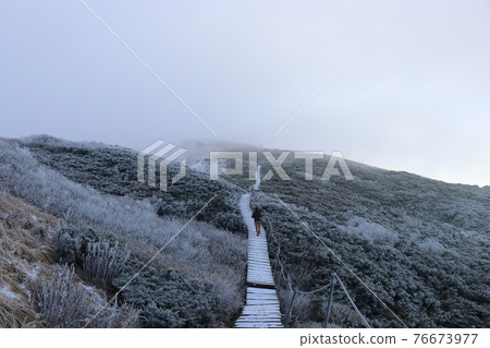 岡山縣鳥取縣Rime and Hakuo Daisen夏山步道 岡山縣鳥取縣Rime and Hakuo Daisen夏山步道 76673977