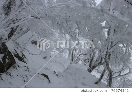 Cold wave, winter, hoarfrost, snow, Mt. Hidehiko, Fukuoka Cold wave, winter, hoarfrost, snow, Mt. Hidehiko, Fukuoka 76674341
