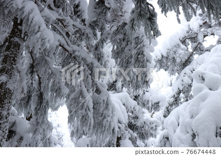冷波，冬天，白霜，雪，福岡秀彥山 76674448
