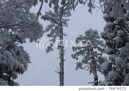 冷波，冬天，白霜，雪，福岡秀彥山 76674523