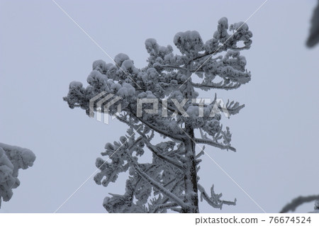 冷波，冬天，白霜，雪，福岡秀彥山 76674524