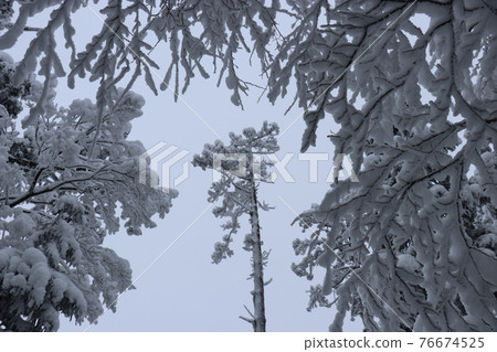 冷波，冬天，白霜，雪，福岡秀彥山 76674525