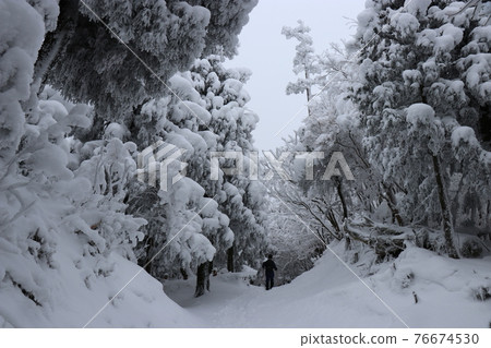 Cold wave, winter, hoarfrost, snow, Mt. Hidehiko, Fukuoka 76674530