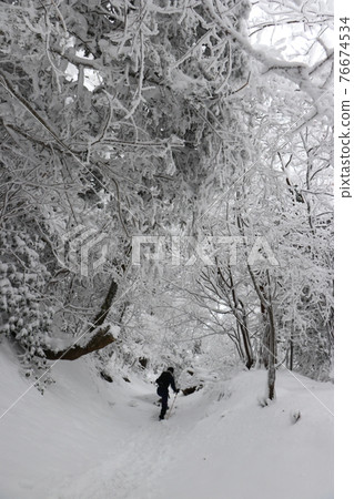 冷波，冬天，白霜，雪，福岡秀彥山 76674534
