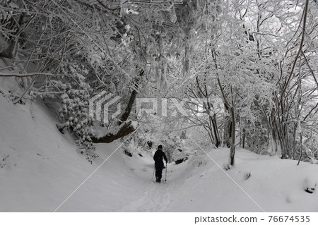 冷波，冬天，白霜，雪，福岡秀彥山 76674535