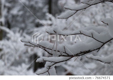 冷波，冬天，白霜，雪，福岡秀彥山 76674571