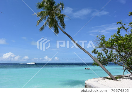 海灘度假村,馬爾代夫 海灘度假村,馬爾代夫 76674805