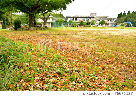 Former Nagomi Town Kikusui Higashi Elementary School closed on March 31, 2020 1047 Iwashiri, Nagomi Town, Tamana District, Kumamoto Prefecture 76675127