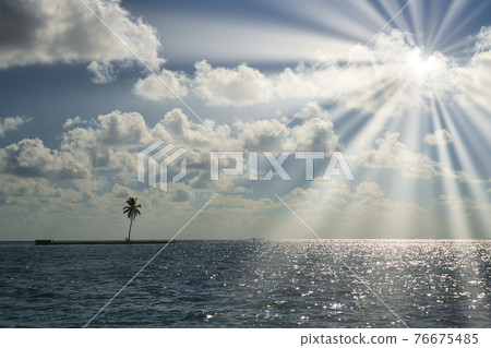 印度洋美麗的珊瑚礁海 76675485