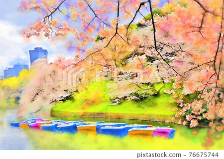 Cherry blossoms and boats in Chidorigafuchi, Tokyo (March) Chiyoda-ku, Tokyo 76675744