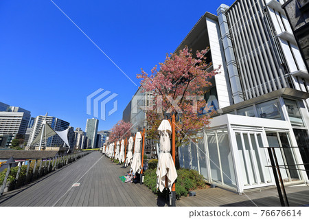 Tokyo Tennozu Isle Cityscape Third Waterside Square 76676614