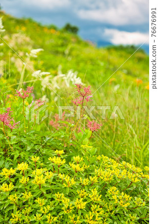 Hakusan Takayama Botanical Garden 76676991