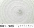 Onions in cross section. 76677329