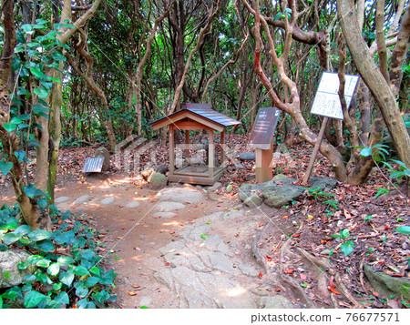 足折岬、七大謎團、地獄之洞、土佐清水市高知縣奇林奇林和金剛福寺投錢(三) 足折岬、七大謎團、地獄之洞、土佐清水市高知縣奇林奇林和金剛福寺投錢(三) 76677571