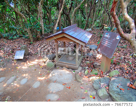 足折岬、七大謎團、地獄之洞、土佐清水市高知縣奇林奇林和金剛福寺投錢（4） 76677572