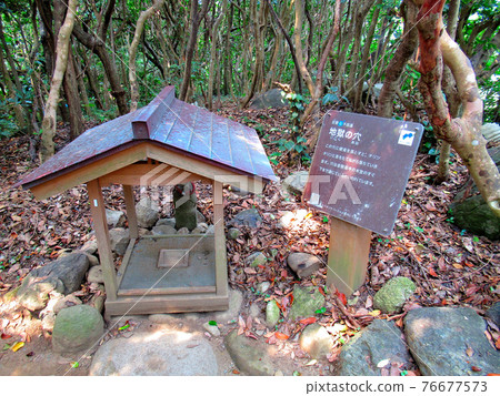 Cape Ashizuri, Seven Mysteries, Hole in Hell, Dropping Money to Chillin Chillin and Kongofukuji Temple, Kochi Prefecture, Tosashimizu City (5) Cape Ashizuri, Seven Mysteries, Hole in Hell, Dropping Money to Chillin Chillin and Kongofukuji Temple, Kochi Prefecture, Tosashimizu City (5) 76677573