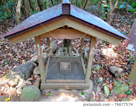 Cape Ashizuri, Seven Mysteries, Hole into Hell, Dropping money to Chillin Chillin and Kongofukuji Temple, Kochi Prefecture, Tosashimizu City (6) 76677574