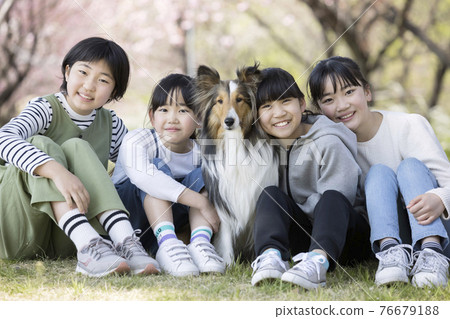 Elementary school children lined up with dogs 76679188