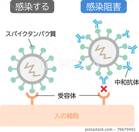 中和抗體預防傳染病 中和抗體預防傳染病 76679491
