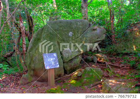 足折岬、七謎、龜石、龜石面向土佐清水市龜石(2) 76679732