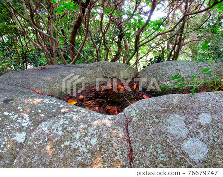 Cape Ashizuri, Seven Mysteries, Immortal Chozubachi, Mysterious Rocks Still Filled with Falling Tears, Tosashimizu City (8) Cape Ashizuri, Seven Mysteries, Immortal Chozubachi, Mysterious Rocks Still Filled with Falling Tears, Tosashimizu City (8) 76679747