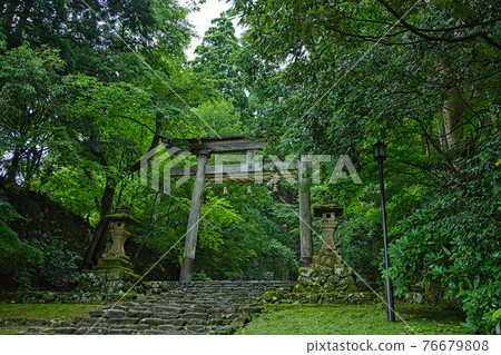 Hakusan Heisenji-Moss Temple 76679808