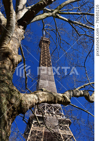 Eiffel Tower under renovation as seen from Champ de Mars Park, Paris, France, taken on March 6, 2021. 76680216