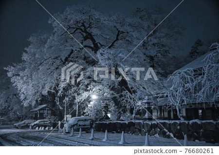 Himurehachimangu 2020的雪景 Himurehachimangu 2020的雪景 76680261