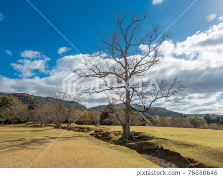 Tobihino in autumn in the blue sky 76680646
