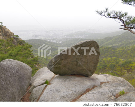 Bukhansan. National Park. Spring flowers. Bukhansanseong Fortress. Azalea flowers. Leaves Bukhansan. National Park. Spring flowers. Bukhansanseong Fortress. Azalea flowers. Leaves 76682807