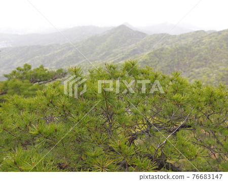 Bukhansan. National Park. Leaves. Bohyeonbong. Baekundae. Kalbawi 76683147