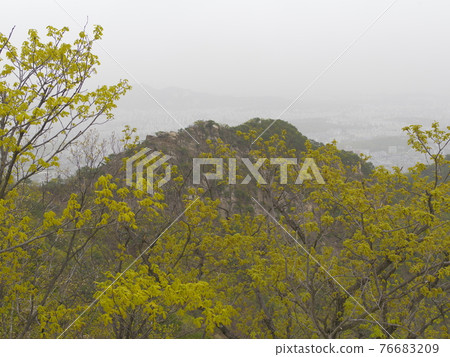 Bukhansan. National Park. Leaves. Bohyeonbong. Baekundae. Kalbawi 76683209