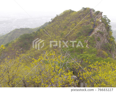 Bukhansan. National Park. Leaves. Bohyeonbong. Baekundae. Kalbawi 76683227