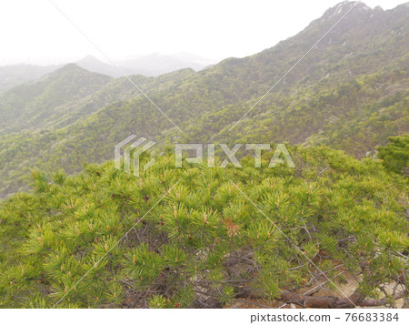 北漢山, 國立公園, 文筆峰, 寶賢峰, 樹葉, 花蕾, 白雲台 76683384